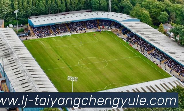 太阳城网站服务体系